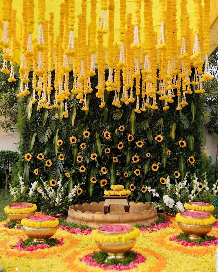 Blue Lotus Events & Decors